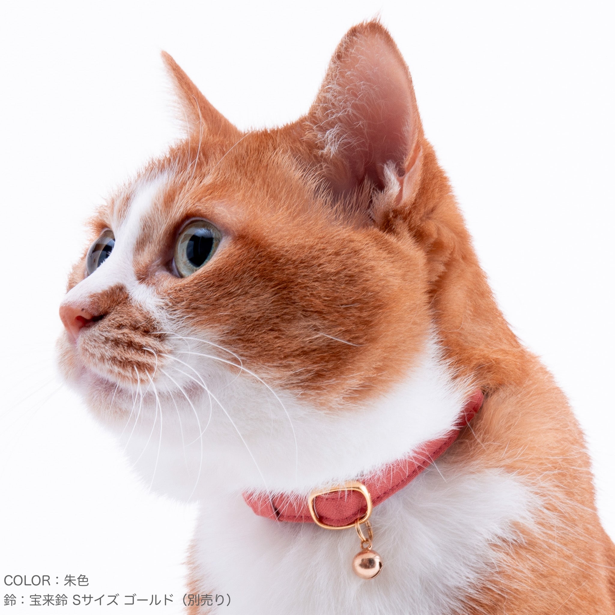 猫首輪 MUJIコットンプレーン 露草｜ぽぽねこ公式オンラインショップ