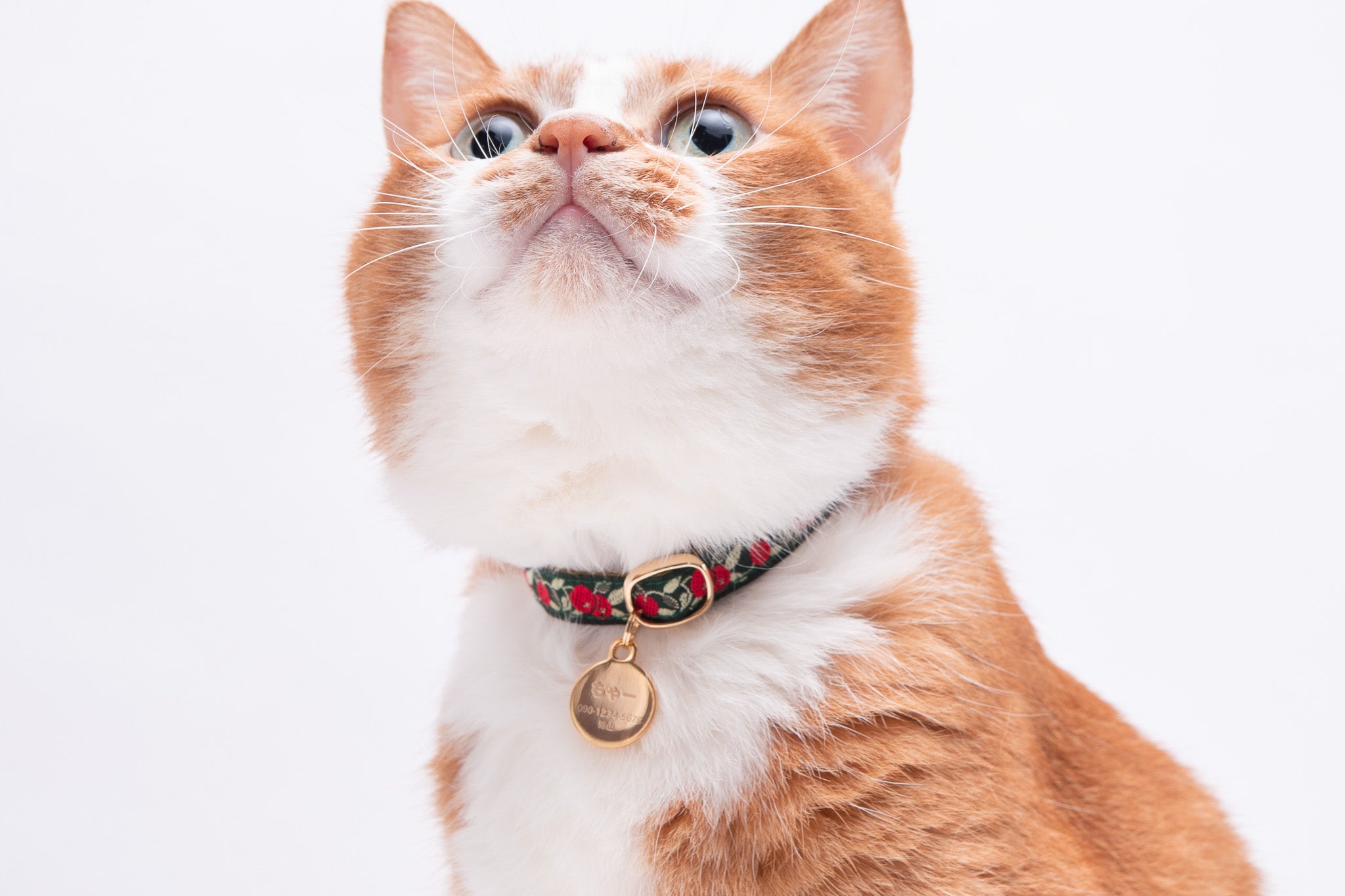 猫の首輪通販 ぽぽねこ公式オンラインショップ