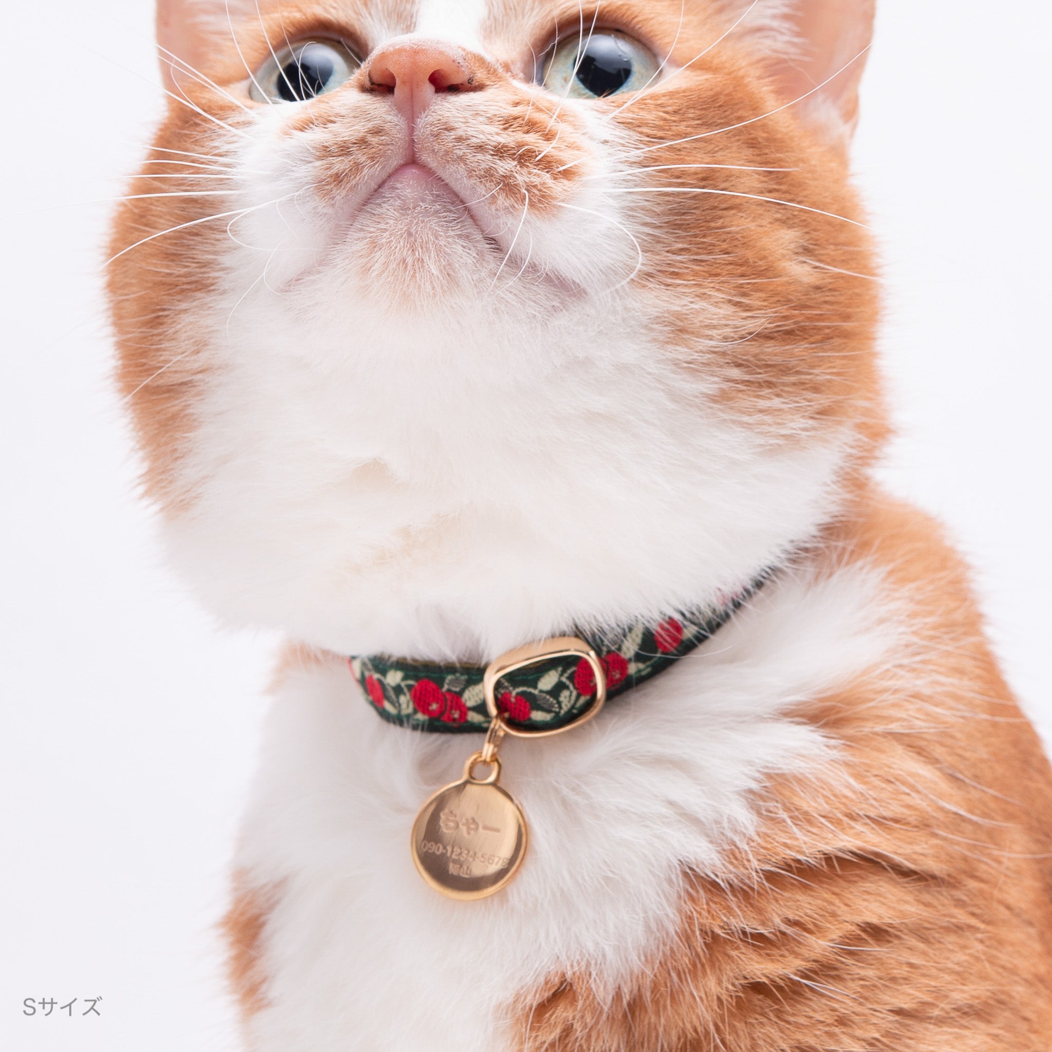 片面］猫用迷子札オールメタル・完全防水 ラウンド｜ぽぽねこ公式