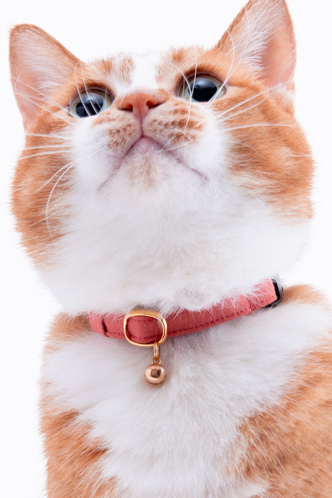 猫首輪 MUJIコットンプレーン