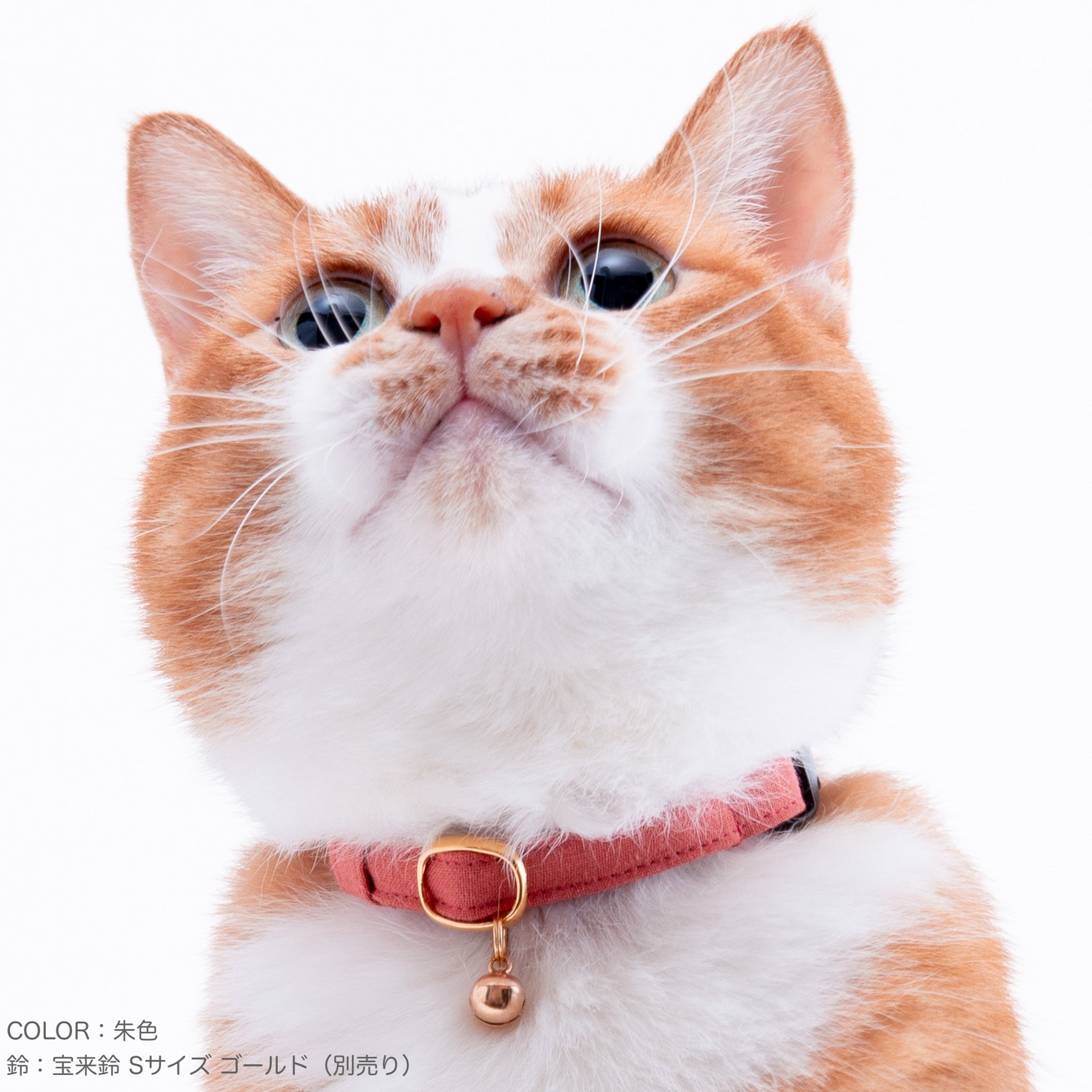 むん(´·ω·`)様専用、カントリーパッチワーク、わんちゃん猫