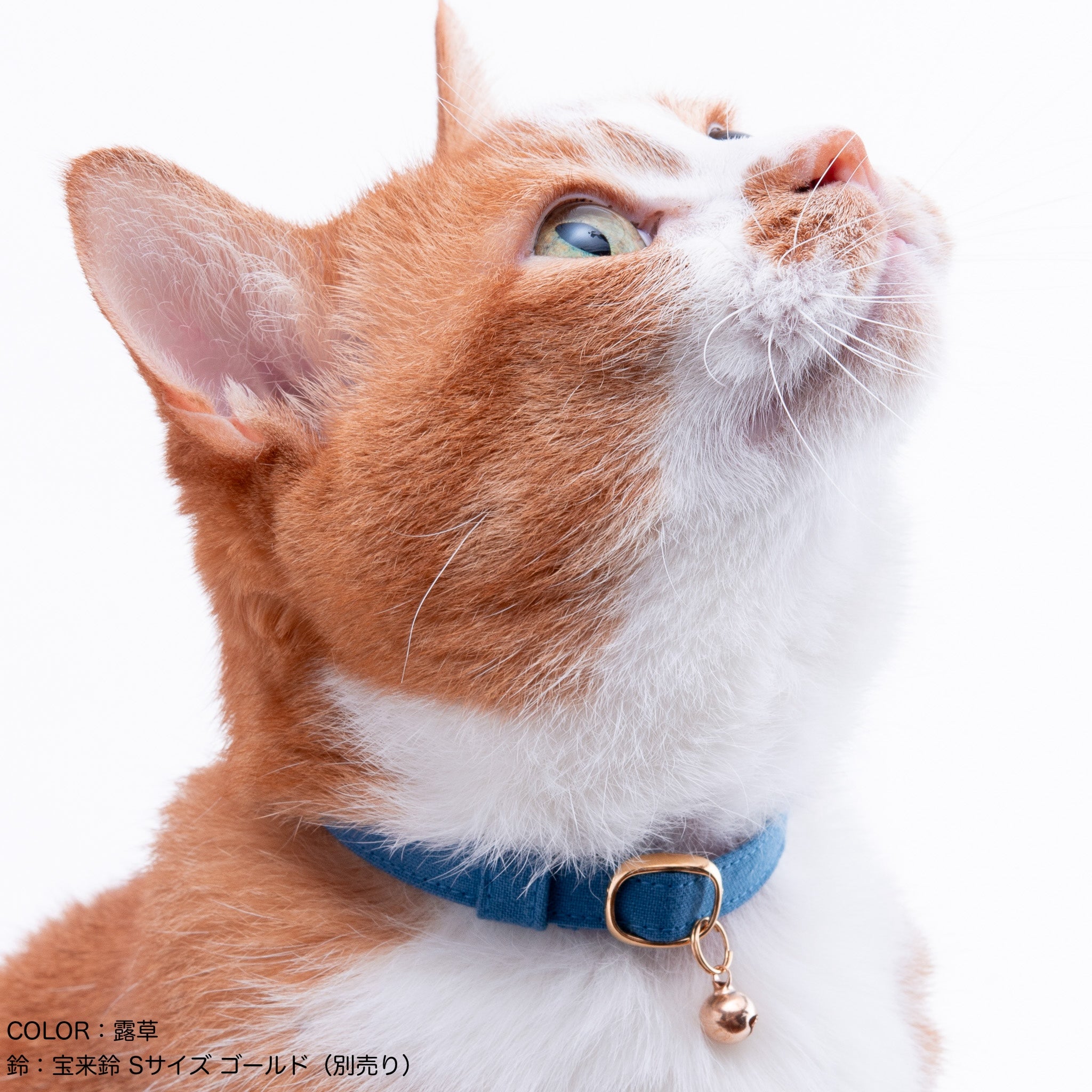 猫首輪 MUJIコットンプレーン 露草｜ぽぽねこ公式オンラインショップ