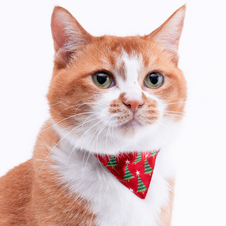 バンダナ付き猫首輪　クリスマス　もみの木　レッド