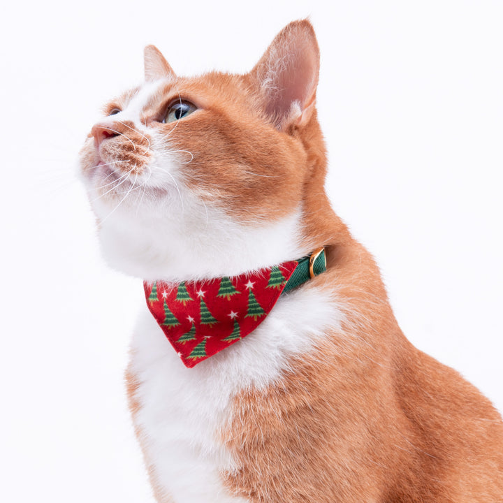 バンダナ付き猫首輪　クリスマス　もみの木　レッド