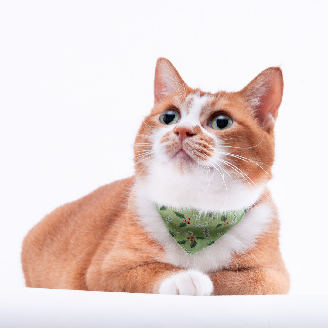 バンダナ付き猫首輪　クリスマス　ホーリー　グリーン
