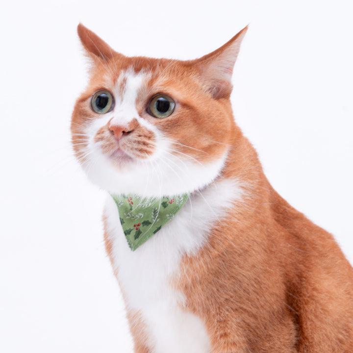 バンダナ付き猫首輪　クリスマス　ホーリー　グリーン