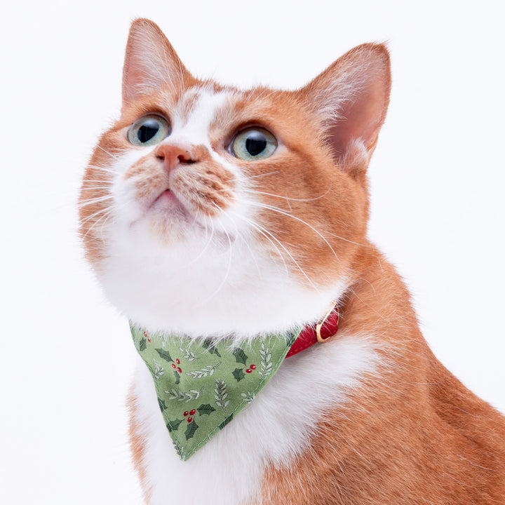 バンダナ付き猫首輪　クリスマス　ホーリー　グリーン