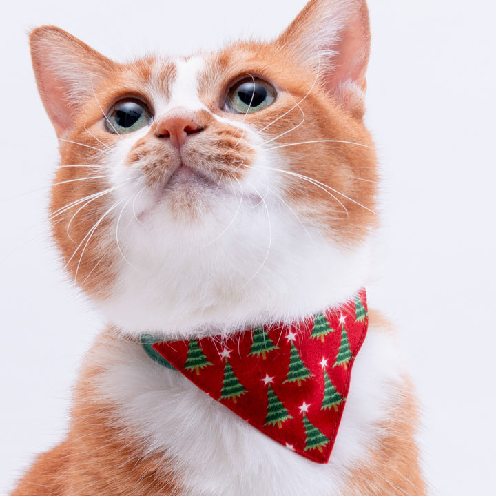 バンダナ付き猫首輪　クリスマス　もみの木　レッド