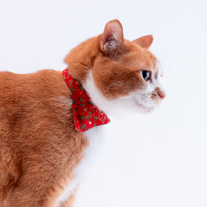 バンダナ付き猫首輪　クリスマス　ヒイラギ　レッド