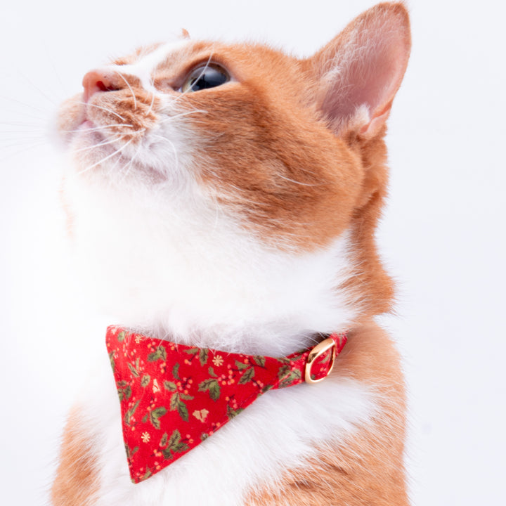 バンダナ付き猫首輪　クリスマス　ヒイラギ　レッド
