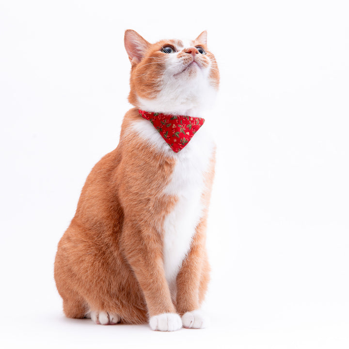 バンダナ付き猫首輪　クリスマス　ヒイラギ　レッド