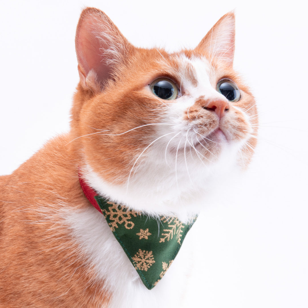 バンダナ付き猫首輪　クリスマス　スノーフレイク　グリーン