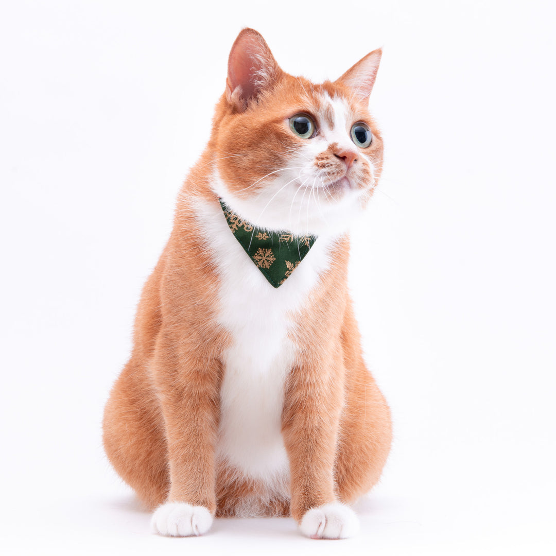 バンダナ付き猫首輪　クリスマス　スノーフレイク　グリーン