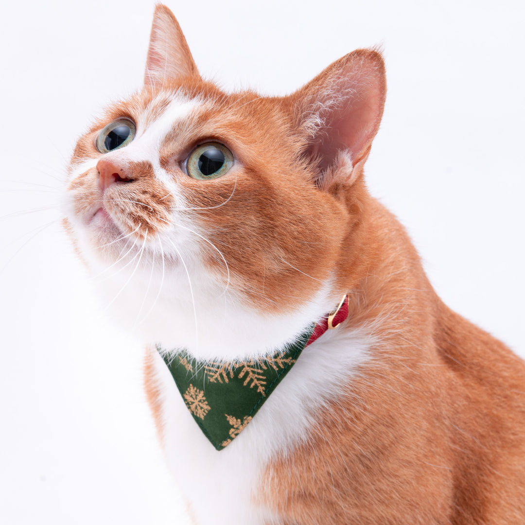 バンダナ付き猫首輪　クリスマス　スノーフレイク　グリーン