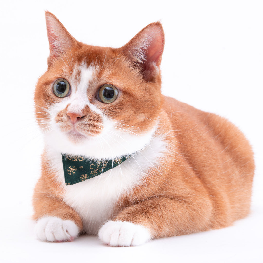 バンダナ付き猫首輪　クリスマス　スノークリスタル　グリーン