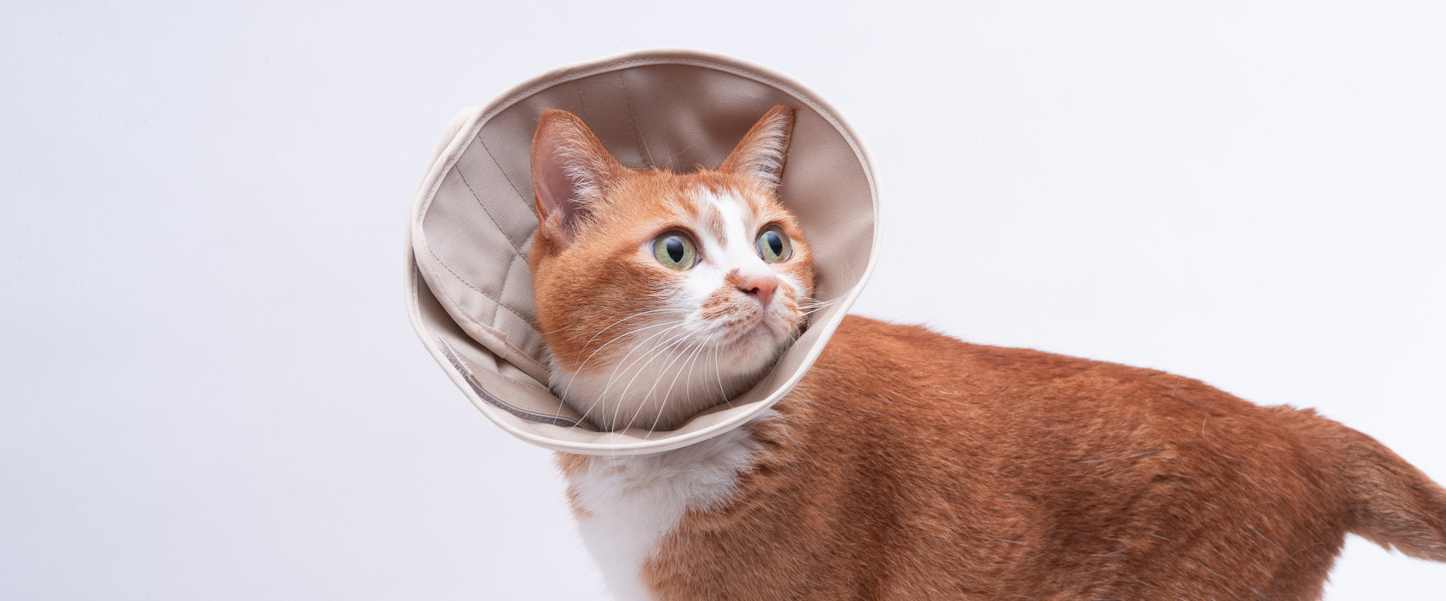 とっても柔らかいコットン製だから、猫ちゃんの行動を邪魔しません。どこかにぶつけてしまっても、大きな音も衝撃もないので安心です。