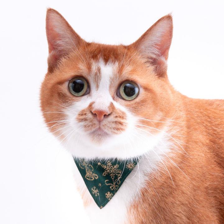 バンダナ付き猫首輪　クリスマス　スノークリスタル　グリーン