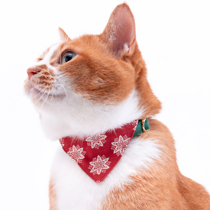 バンダナ付き猫首輪　クリスマス　ヘキサゴン　レッド