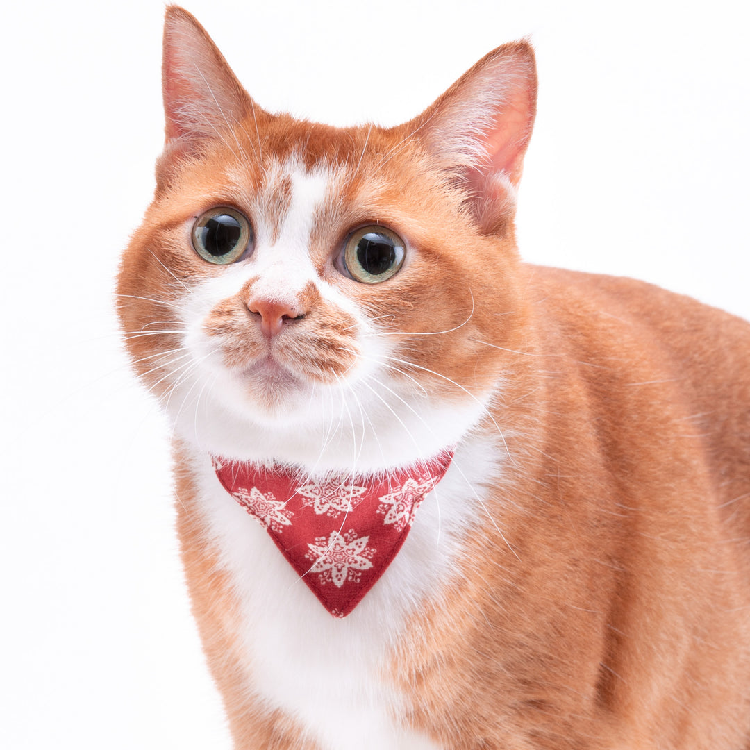 バンダナ付き猫首輪　クリスマス　ヘキサゴン　レッド