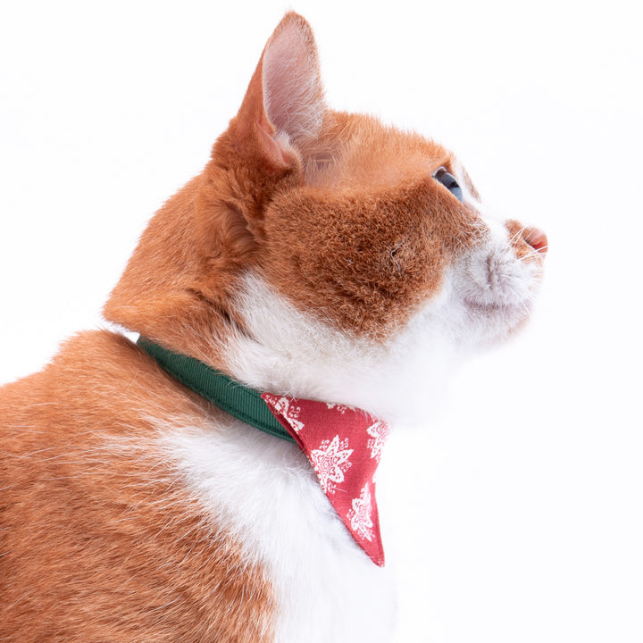 バンダナ付き猫首輪　クリスマス　ヘキサゴン　レッド