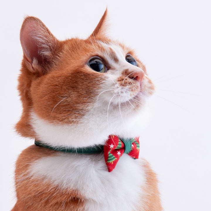 リボン付き猫首輪　クリスマス　もみの木　レッド
