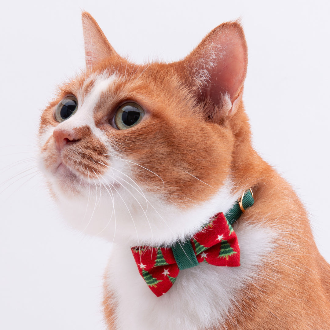 リボン付き猫首輪　クリスマス　もみの木　レッド