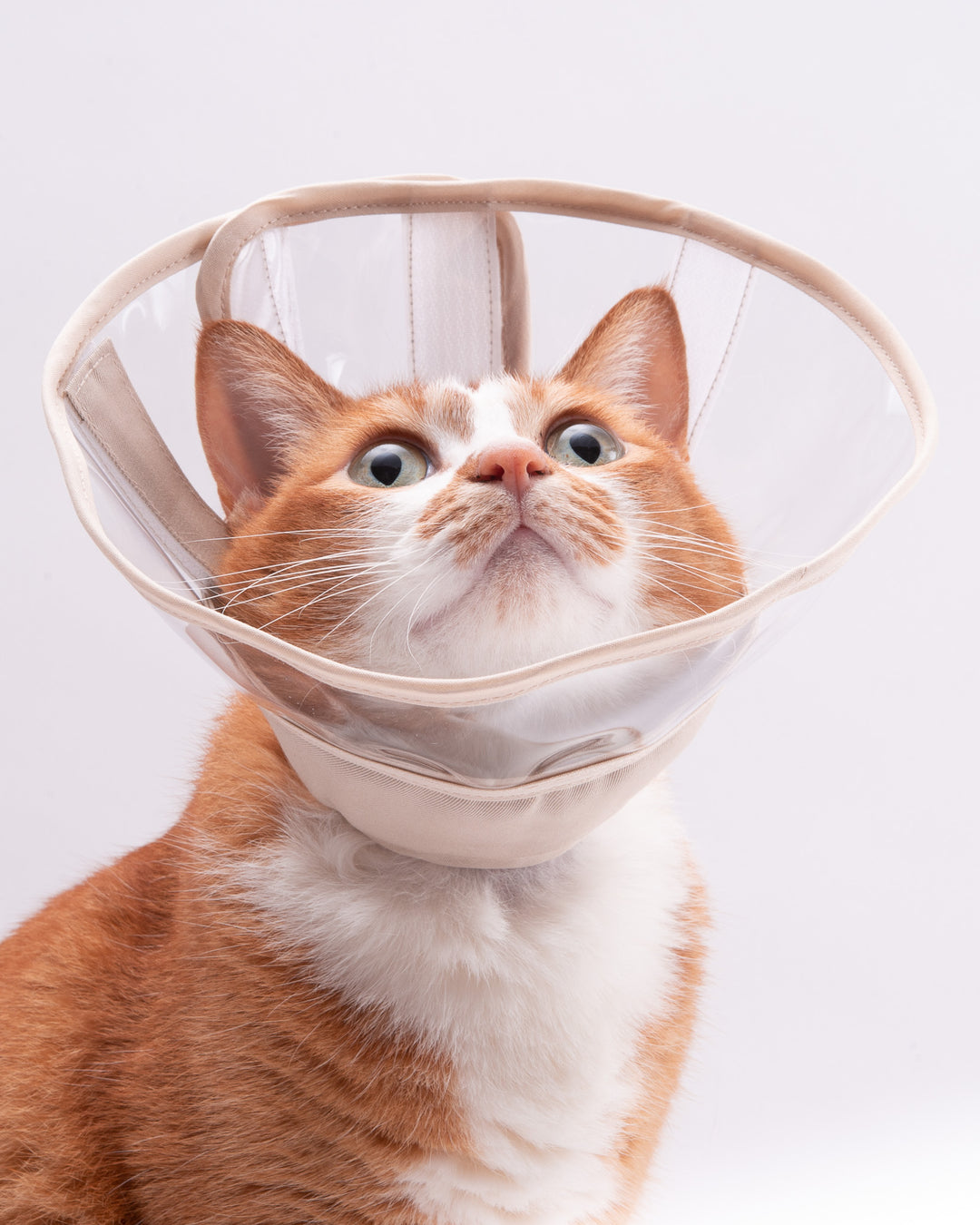 サイズの測り方