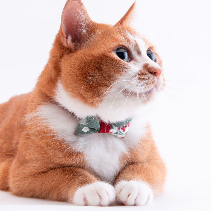 リボン付き猫首輪　クリスマス　ボタニカル　グリーン
