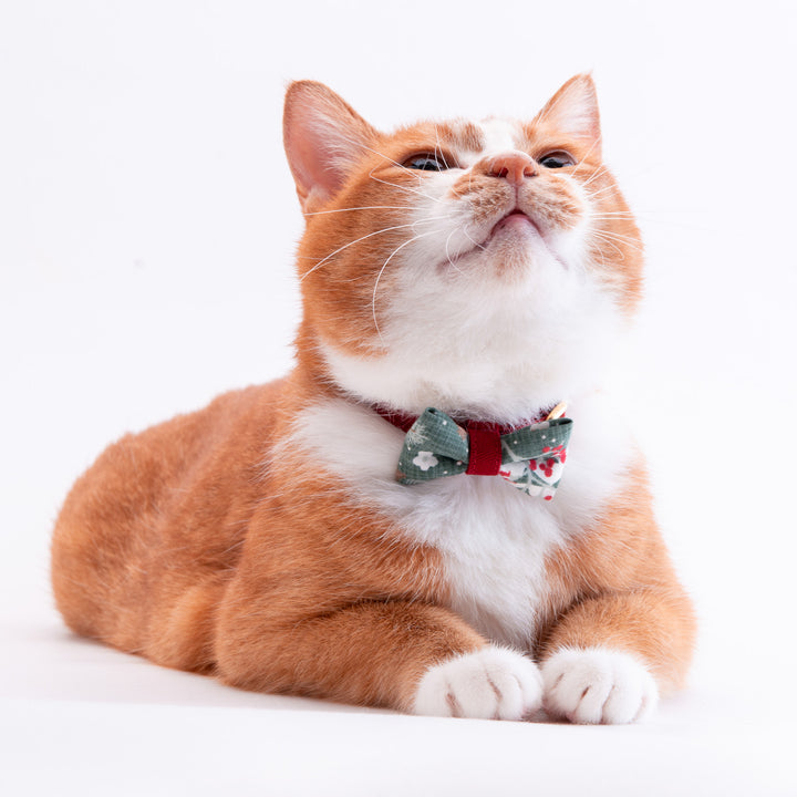 リボン付き猫首輪　クリスマス　ボタニカル　グリーン