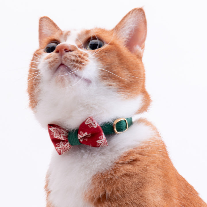 リボン付き猫首輪　クリスマス　ヘキサゴン　レッド