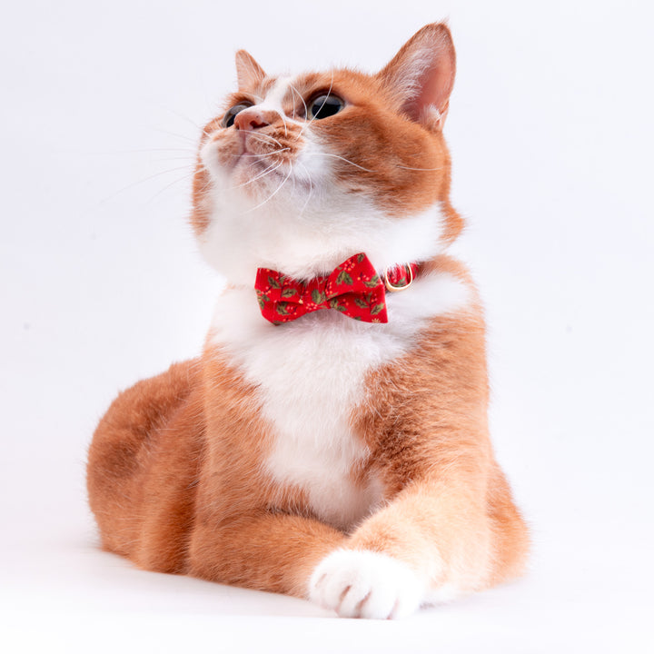 リボン付き猫首輪　クリスマス　ヒイラギ　レッド
