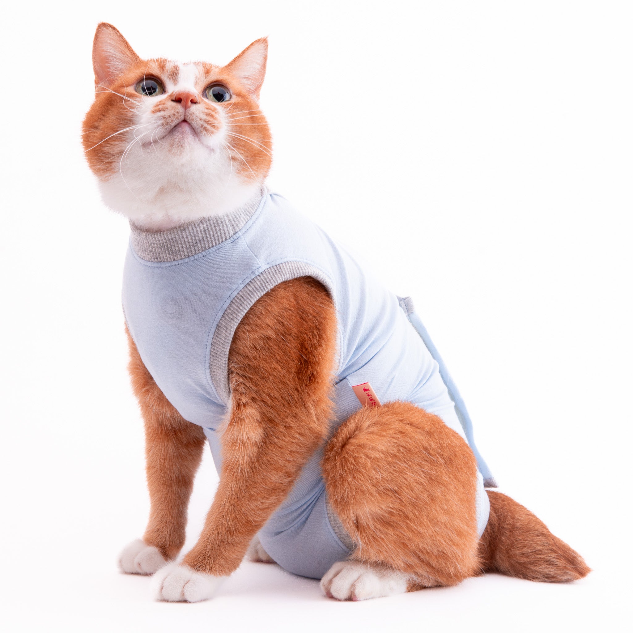 猫に優しい猫服 術後服（ロンパース）｜ぽぽねこ公式オンラインショップ