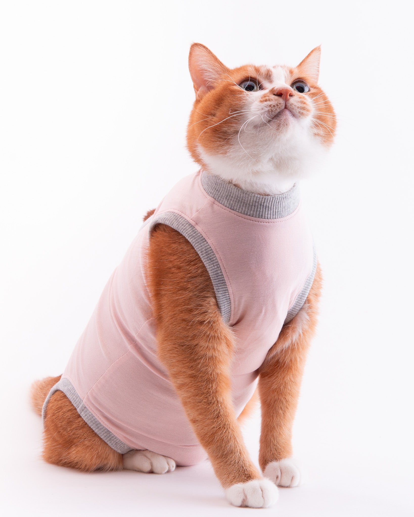 猫の首輪通販 ぽぽねこ公式オンラインショップ