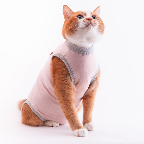 【訳あり】猫に優しい猫服　術後服（ロンパース）