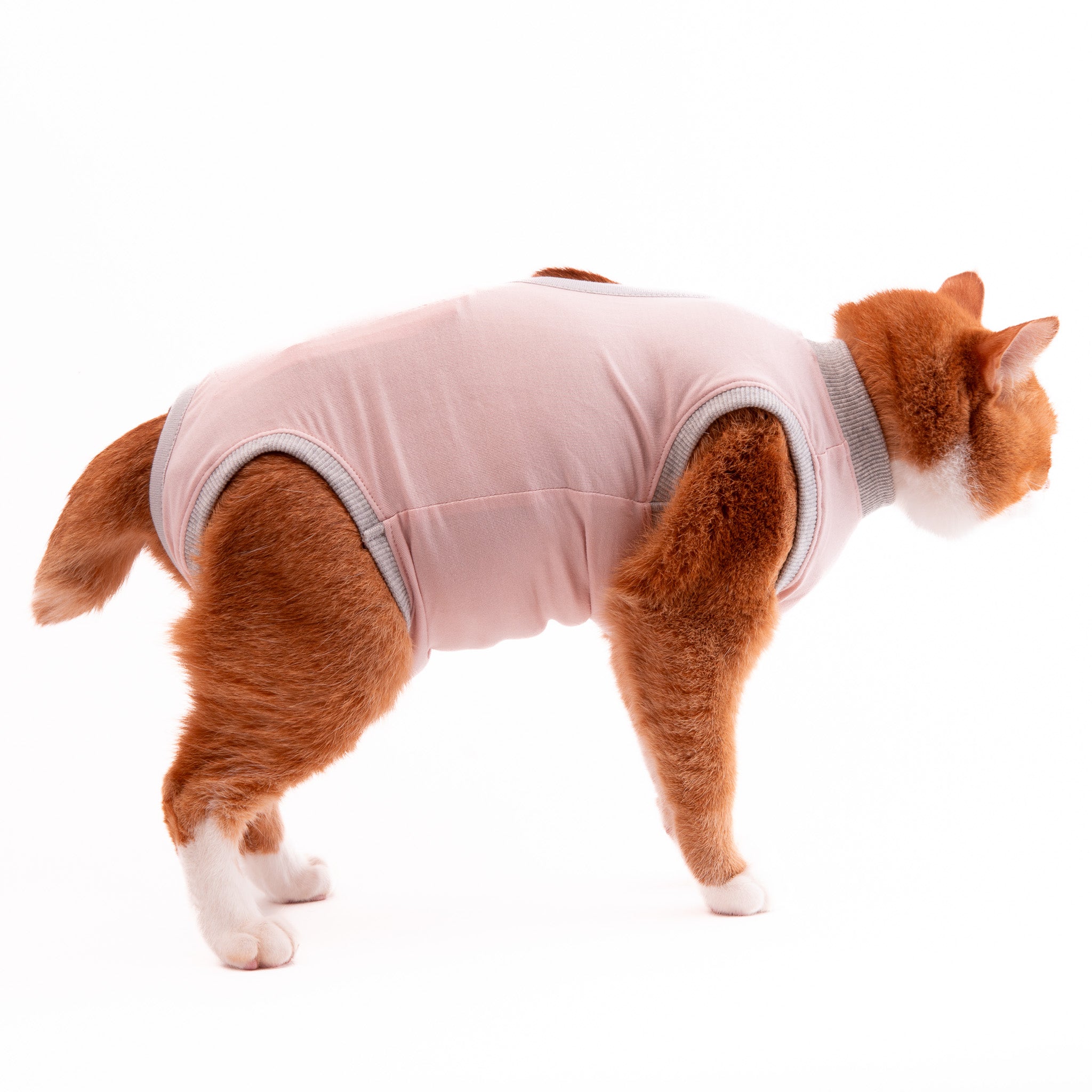 猫に優しい猫服 術後服（ロンパース）｜ぽぽねこ公式オンラインショップ