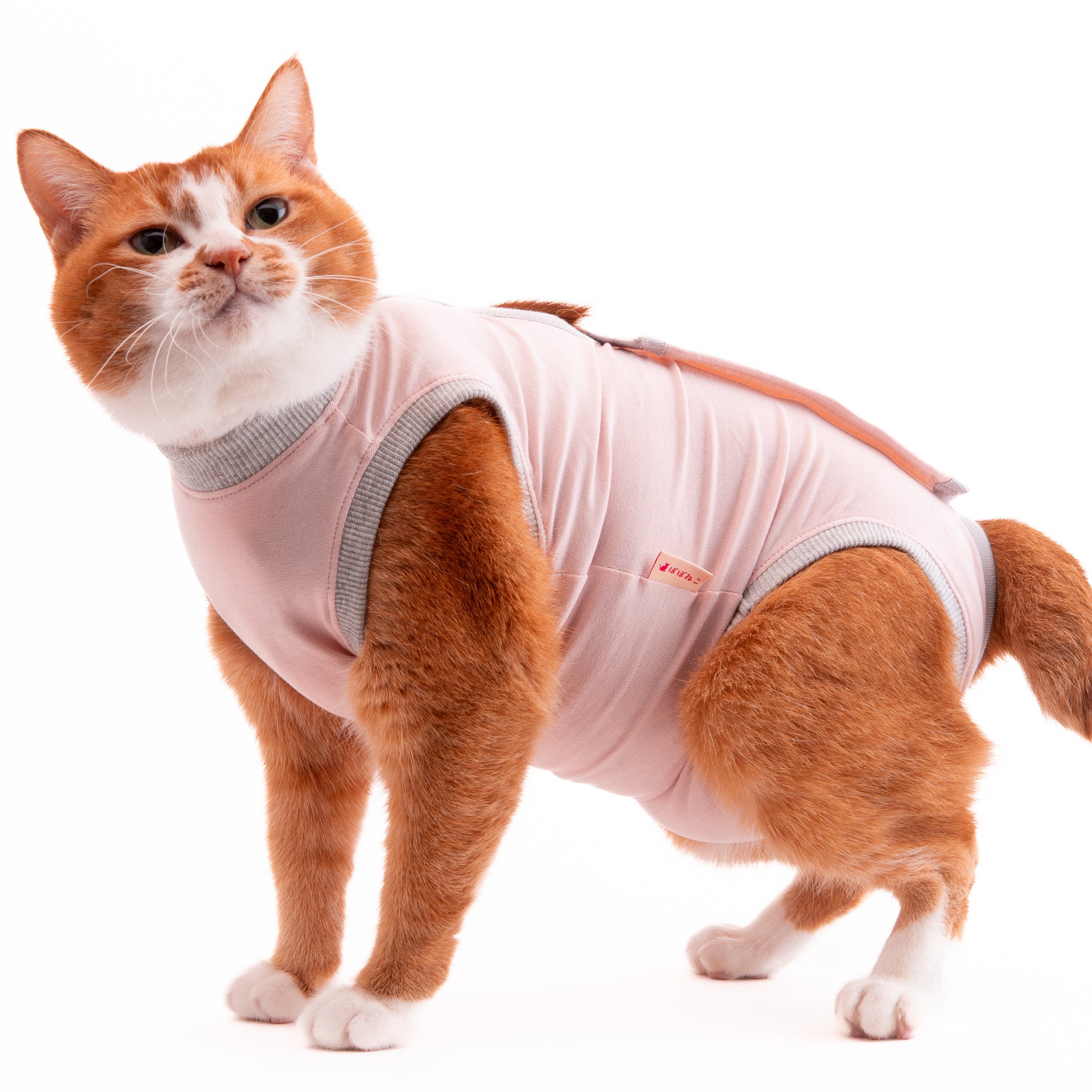 猫に優しい猫服 術後服（ロンパース）｜ぽぽねこ公式オンラインショップ
