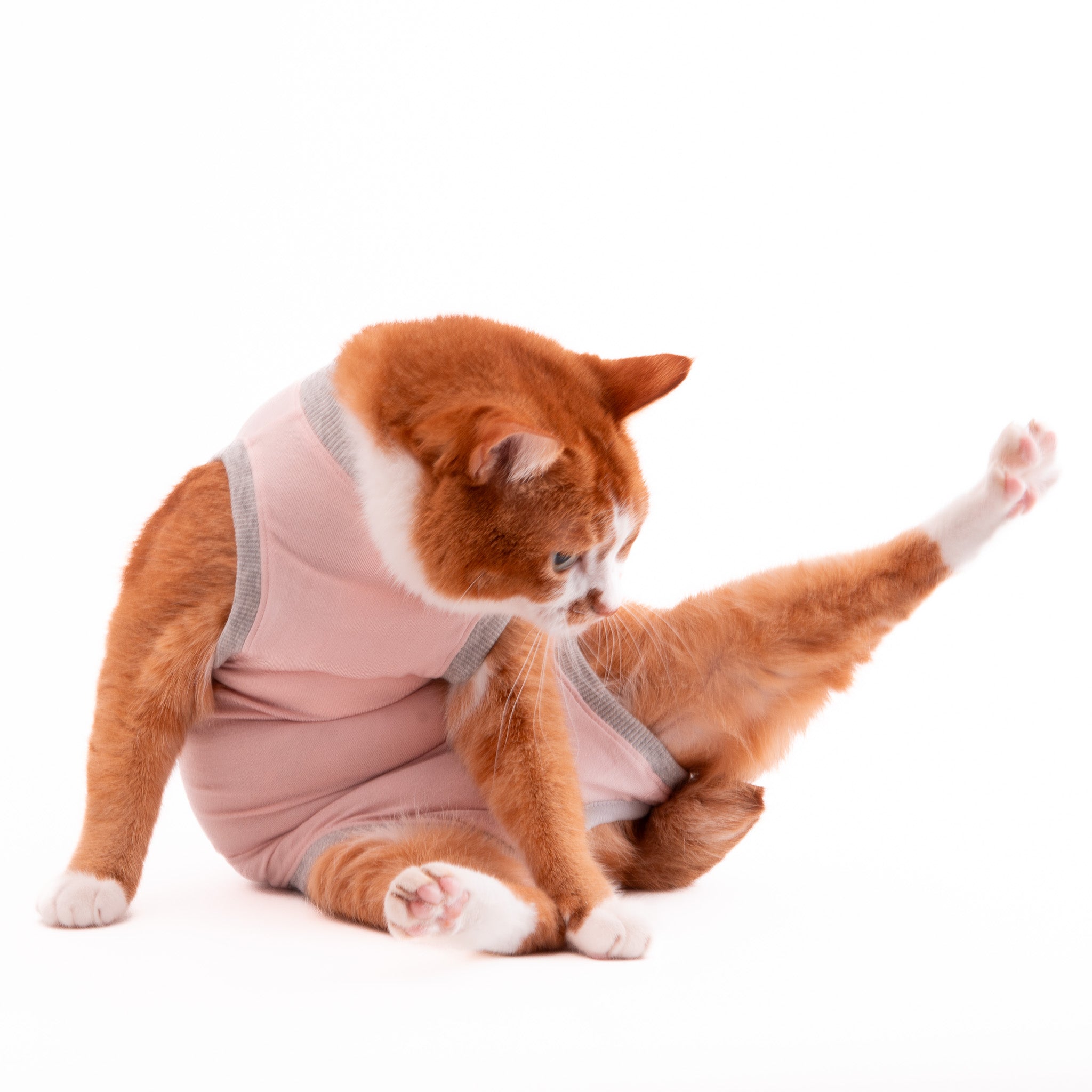 猫に優しい猫服 術後服（ロンパース）｜ぽぽねこ公式オンラインショップ