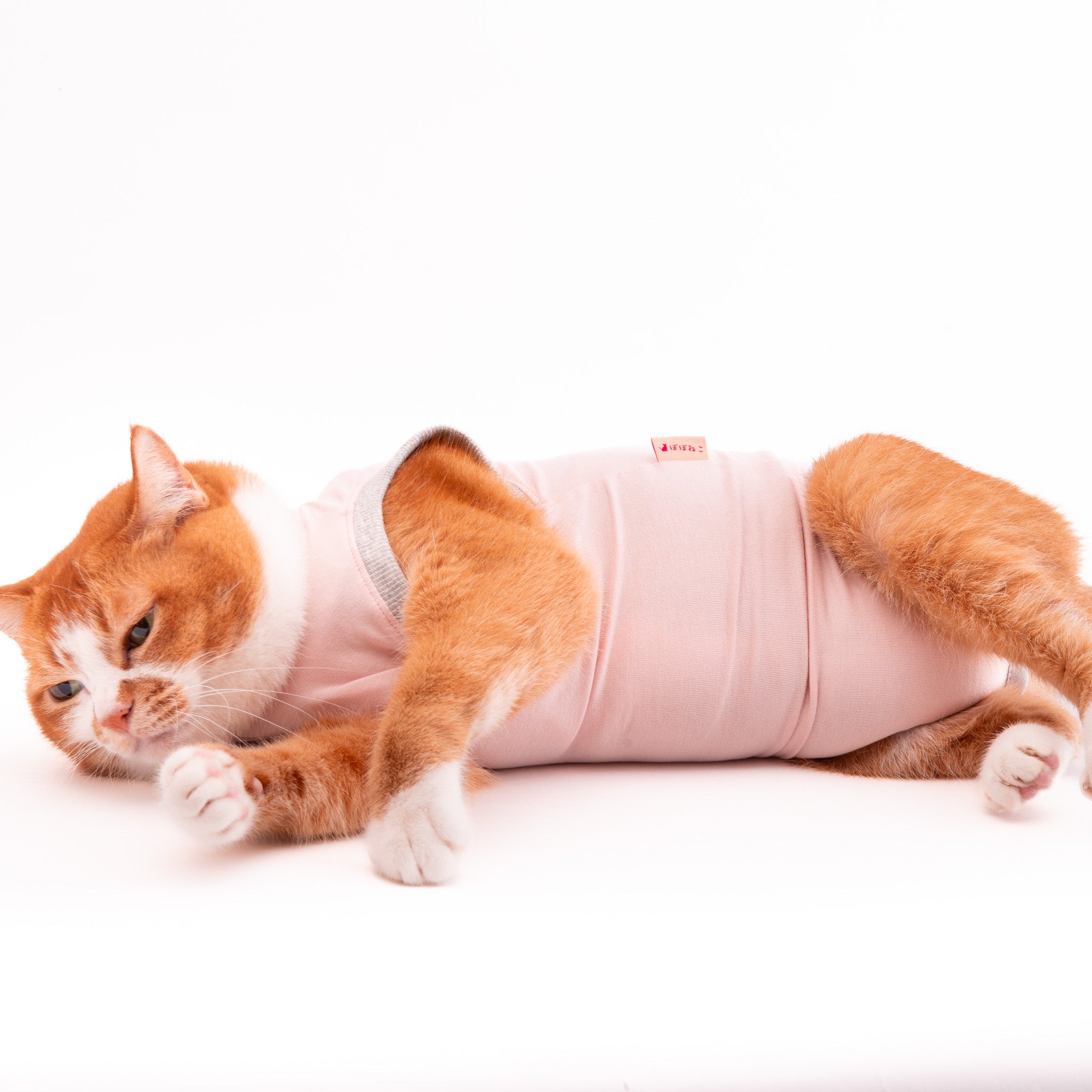 猫用オーバーオール服 ☆小型猫向け★ 楽天市場】オーバーオール 猫の通販