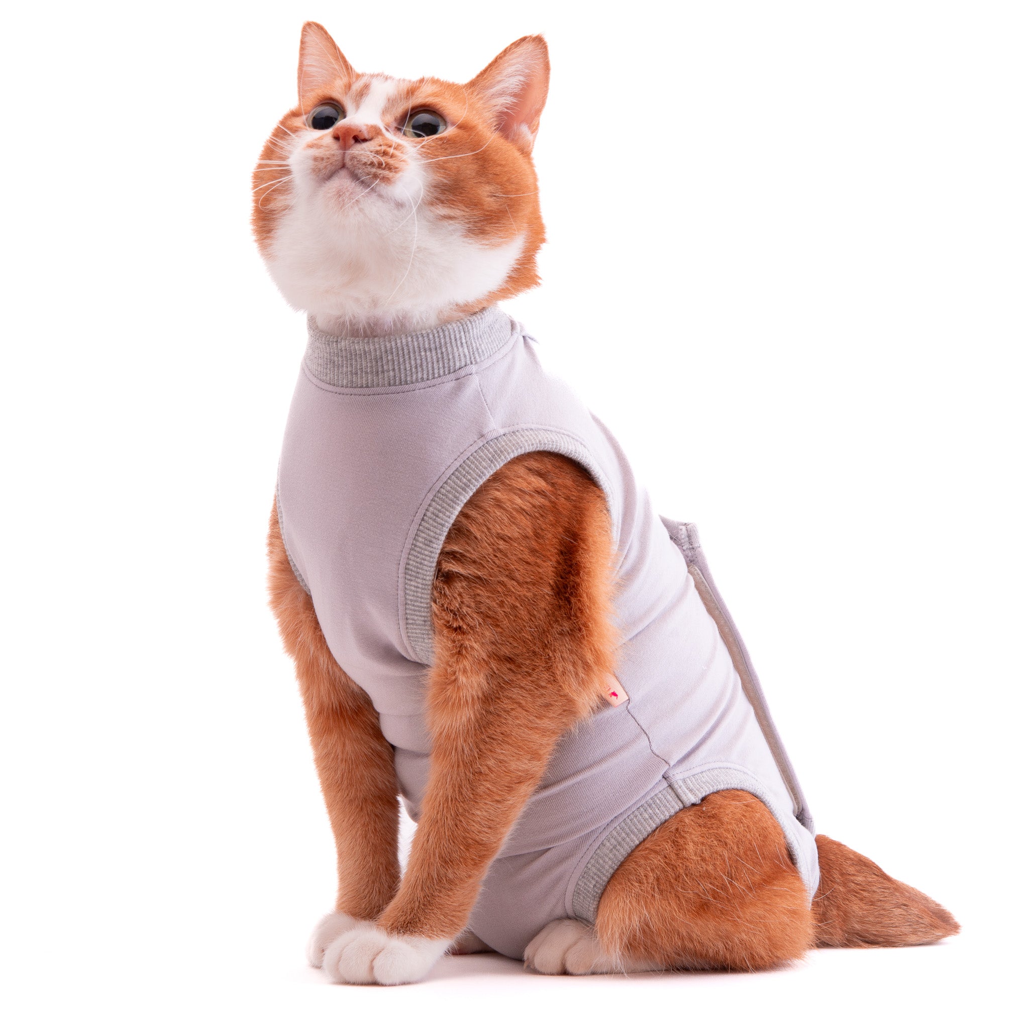 猫に優しい猫服 術後服（ロンパース）｜ぽぽねこ公式オンラインショップ
