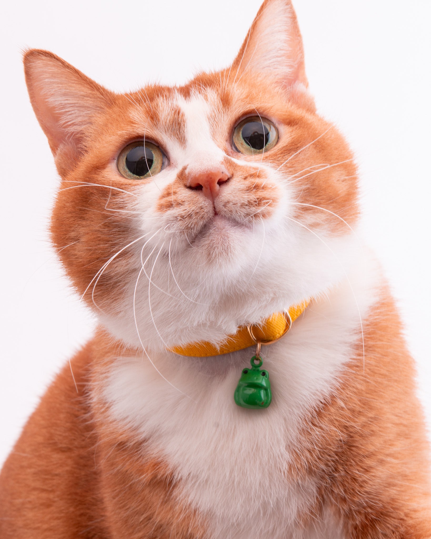 猫首輪 MUJIコットンツイル