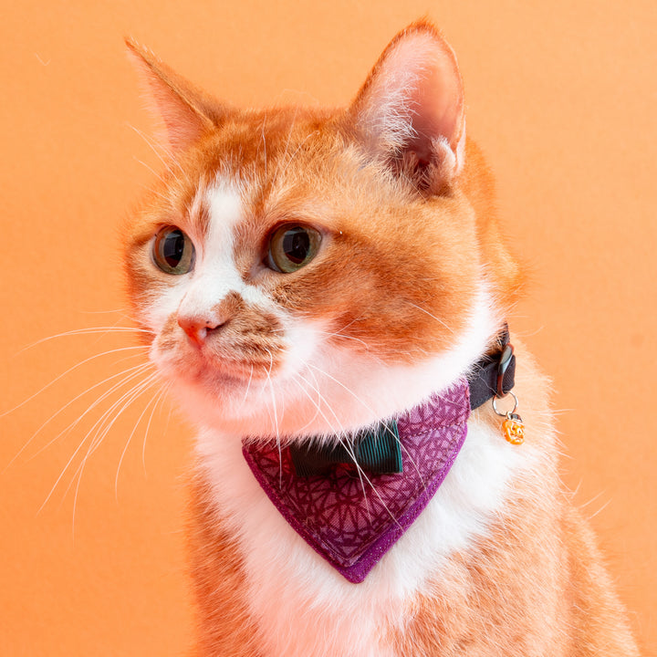 バンダナ付き猫首輪　ハロウィンパーティー　ミステリアスナイト／パープル
