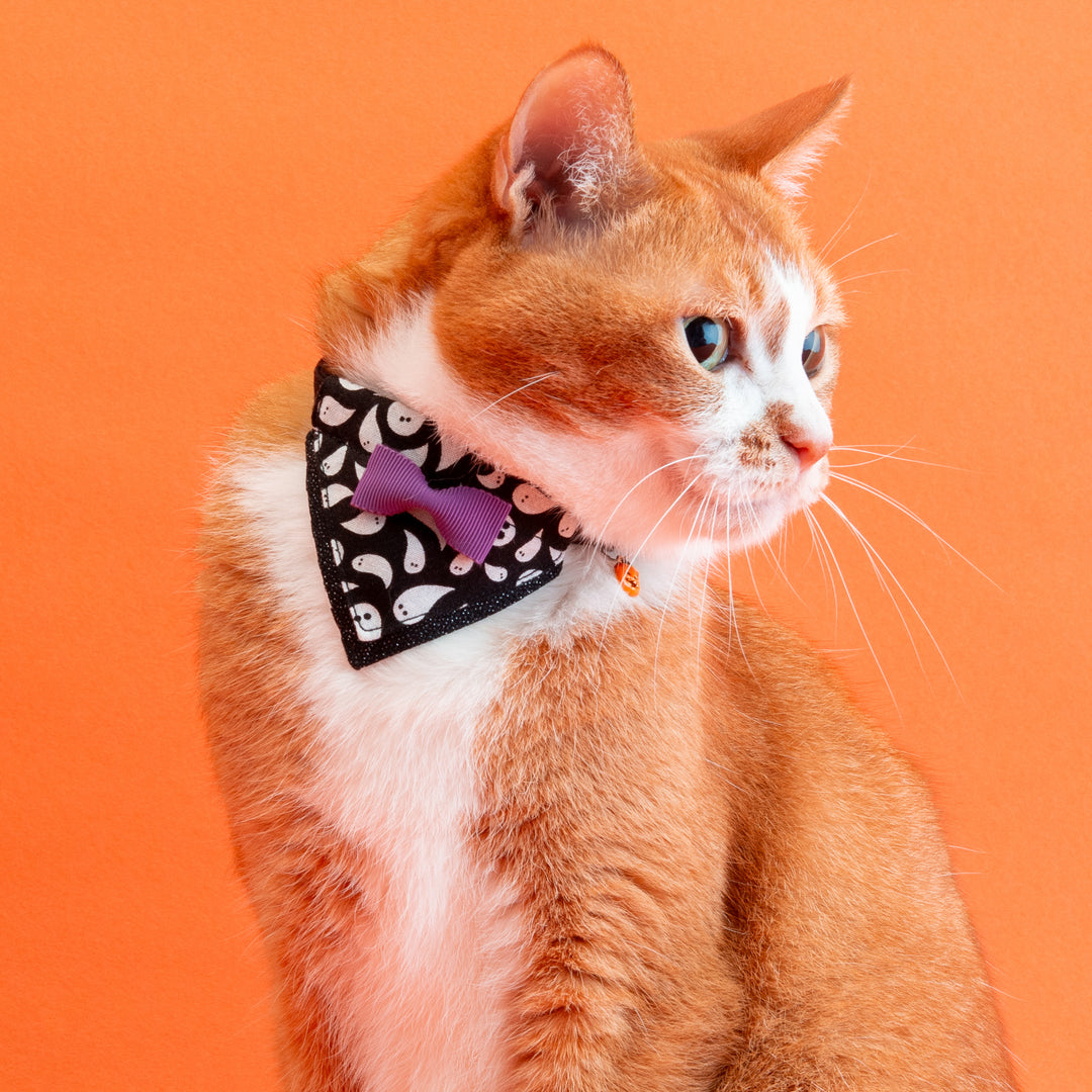 バンダナ付き猫首輪　ハロウィンパーティー　ゴースト／ブラック