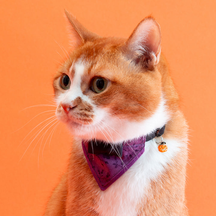 バンダナ付き猫首輪　ハロウィンパーティー　ミッドナイトフラワー／パープル