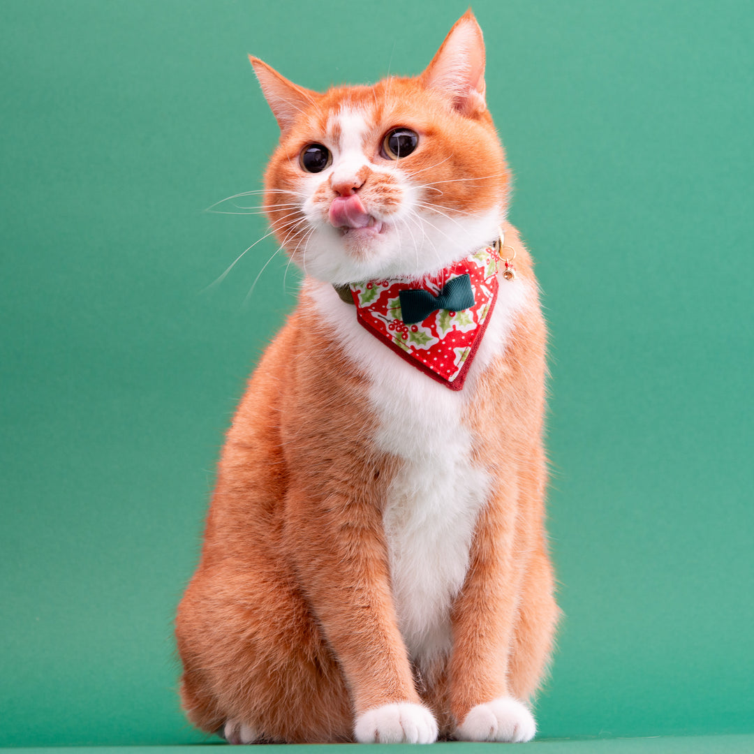 バンダナ付き猫首輪　クリスマスパーティー　ホーリーベリー