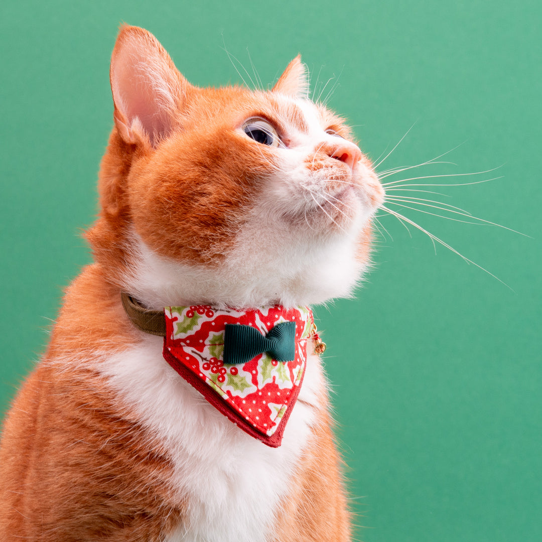バンダナ付き猫首輪　クリスマスパーティー　ホーリーベリー