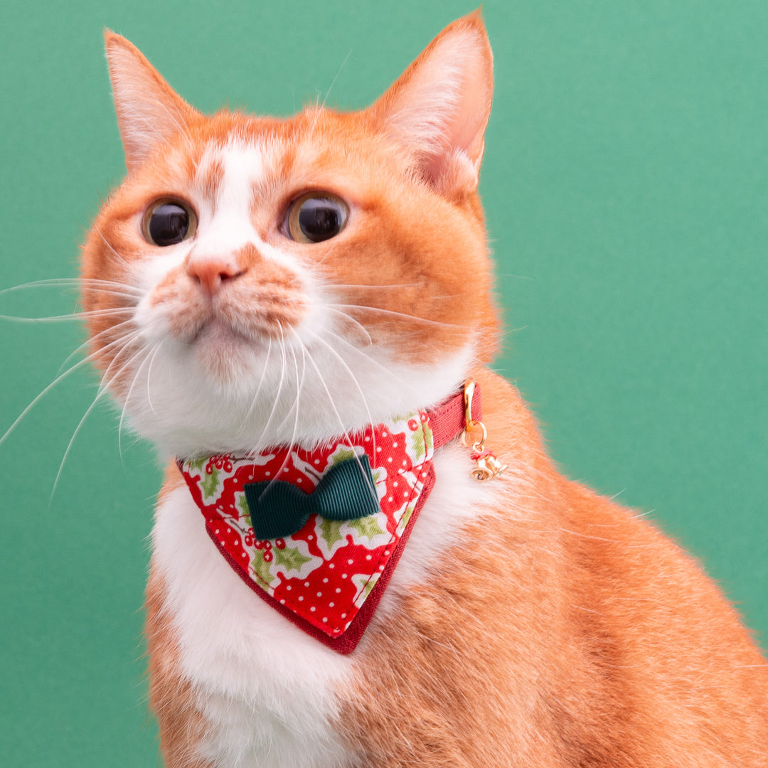 バンダナ付き猫首輪　クリスマスパーティー　ホーリーベリー
