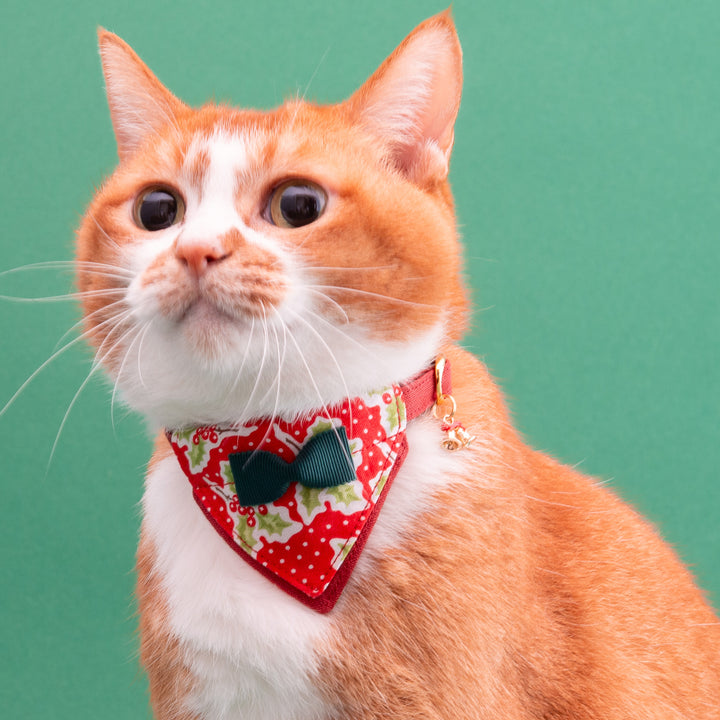 バンダナ付き猫首輪　クリスマスパーティー　ホーリーベリー