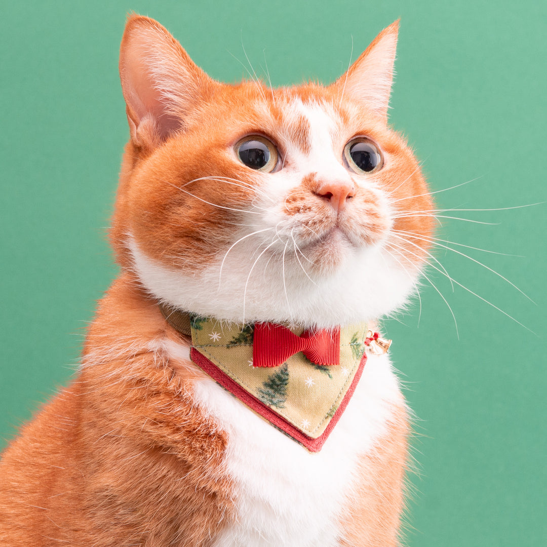 バンダナ付き猫首輪　クリスマスパーティー　ノエルツリー