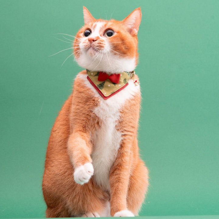 バンダナ付き猫首輪　クリスマスパーティー　ノエルツリー