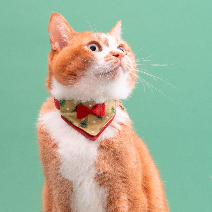 バンダナ付き猫首輪　クリスマスパーティー　ノエルツリー